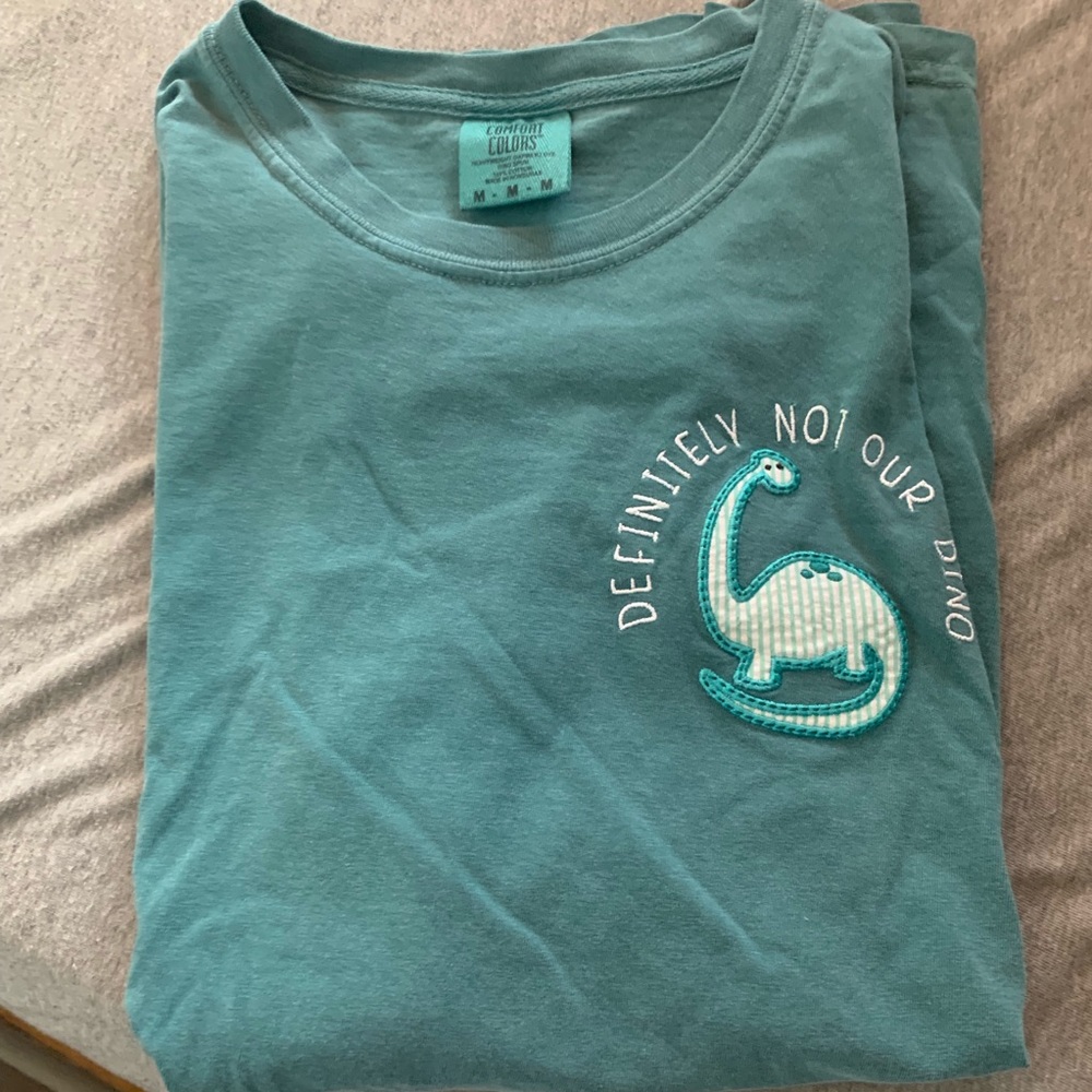 Disney comfort colors shirt men’s medium